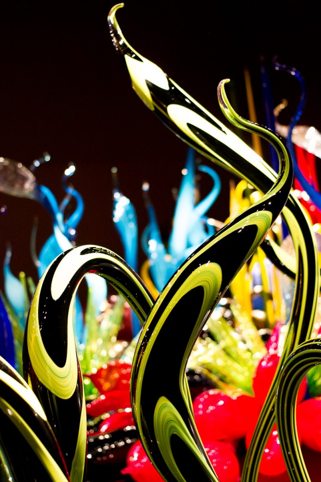 chihuly museum and garden